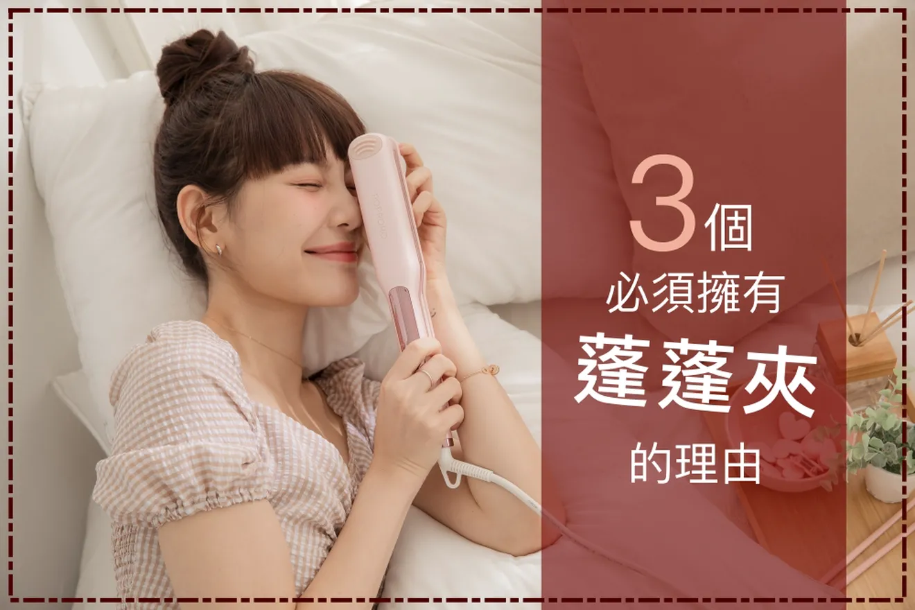 蓬蓬夾推薦