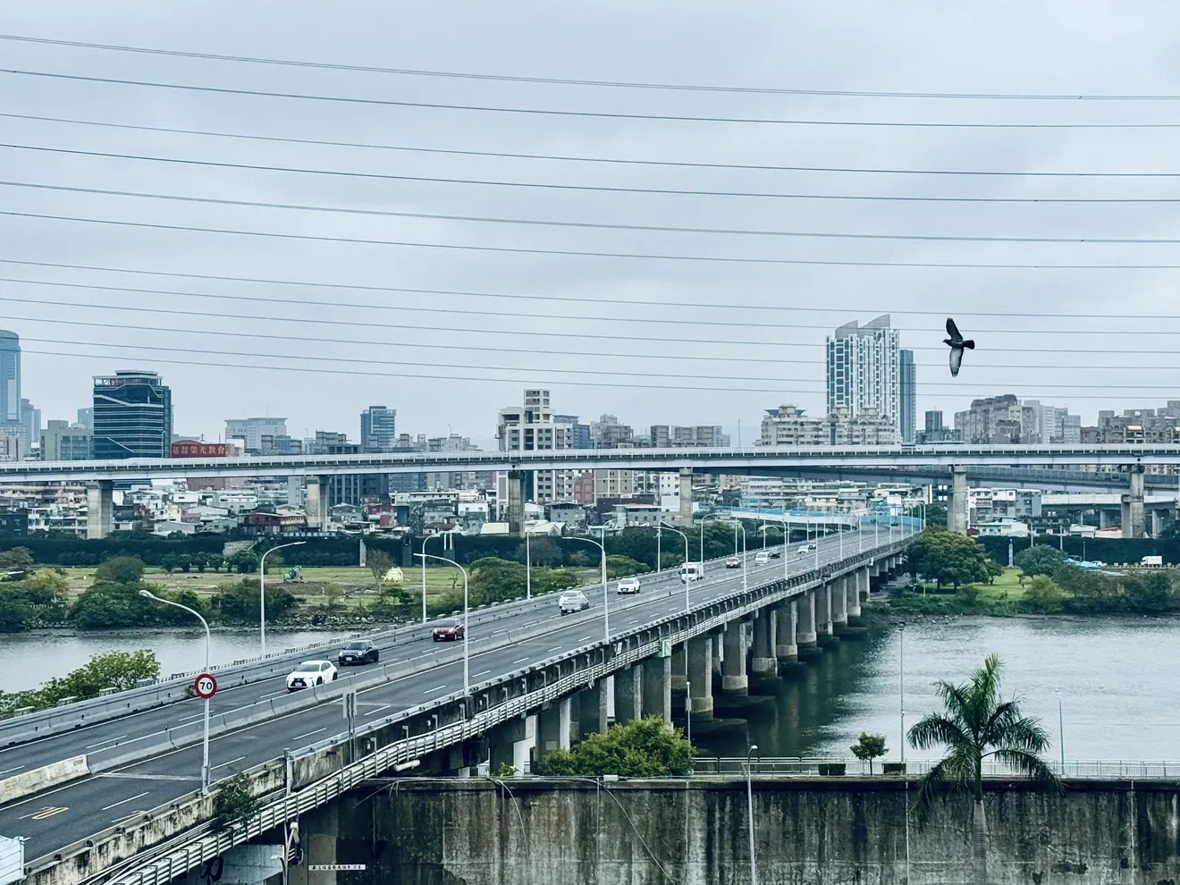 停車漫遊雙北,打卡再拿好康——享受愜意的生活步調