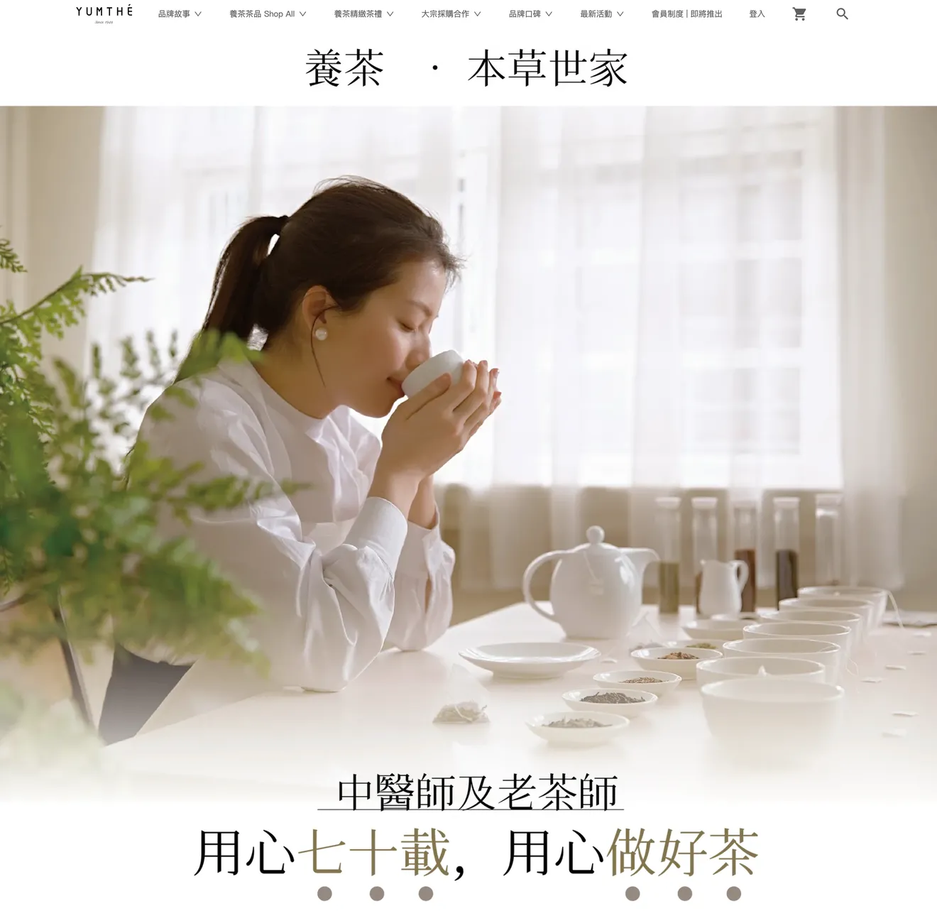 電商網站設計案例，首頁風格