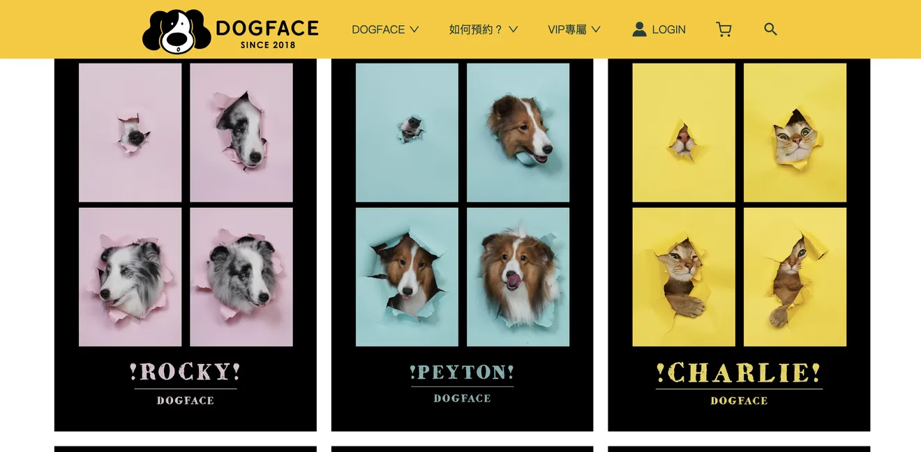 寵物肖像商機，以dogface為例
