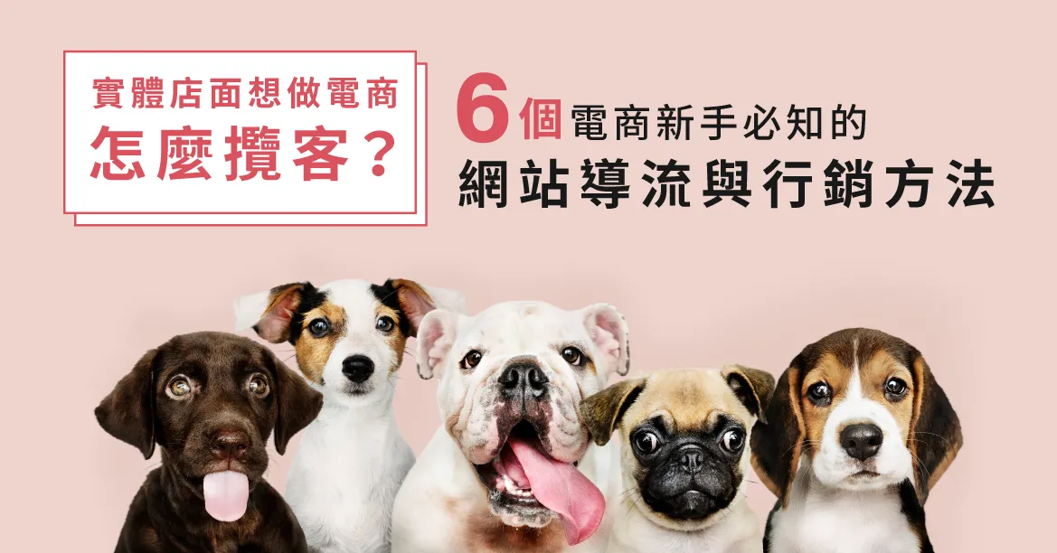 小賣家做電商如何增加流量？6個新手必知的網站導流與行銷方法