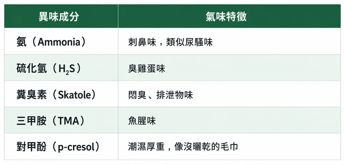腸道異味成分與氣味特徵對照表，包含氨、氨、硫化氫、糞臭素、三甲胺與對甲酚。